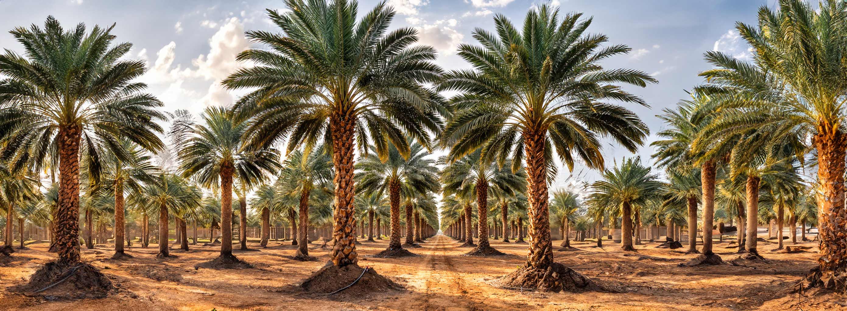 Natural farming background